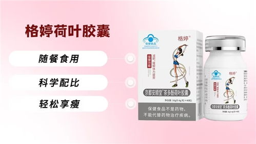 2026年正規減肥減脂產品綜合測評榜,嚴選合規配方深度實測,健康瘦身不易反彈